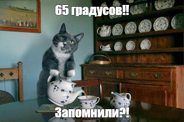 Мем о температуре горячего напитка — 65 градусов