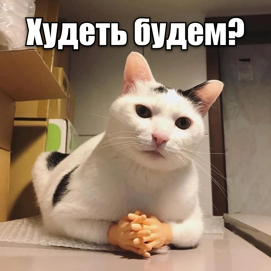 Мем «Худеть будем?»