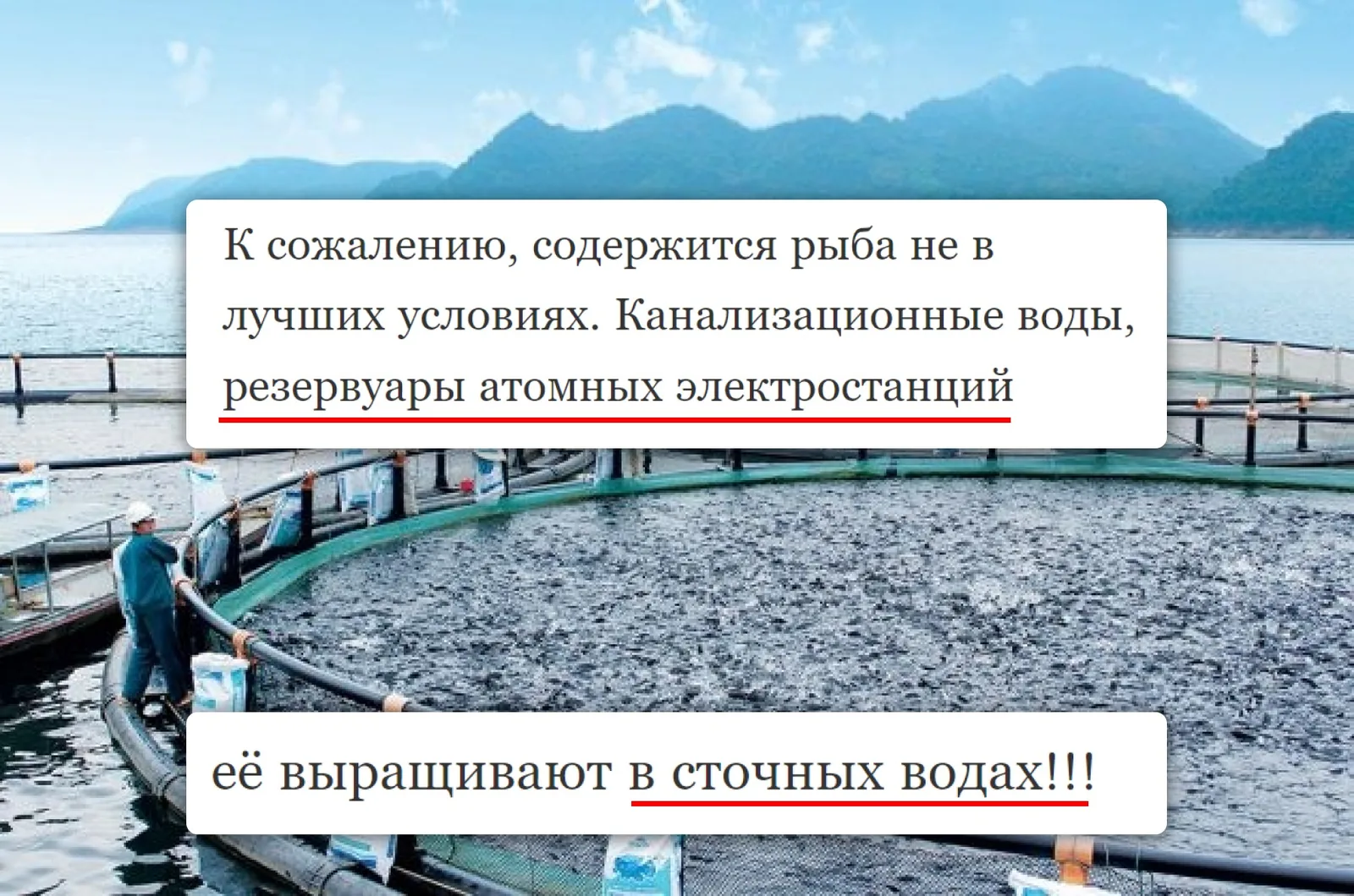 Претензия к рыбе: сточные воды и резервуары электростанций
