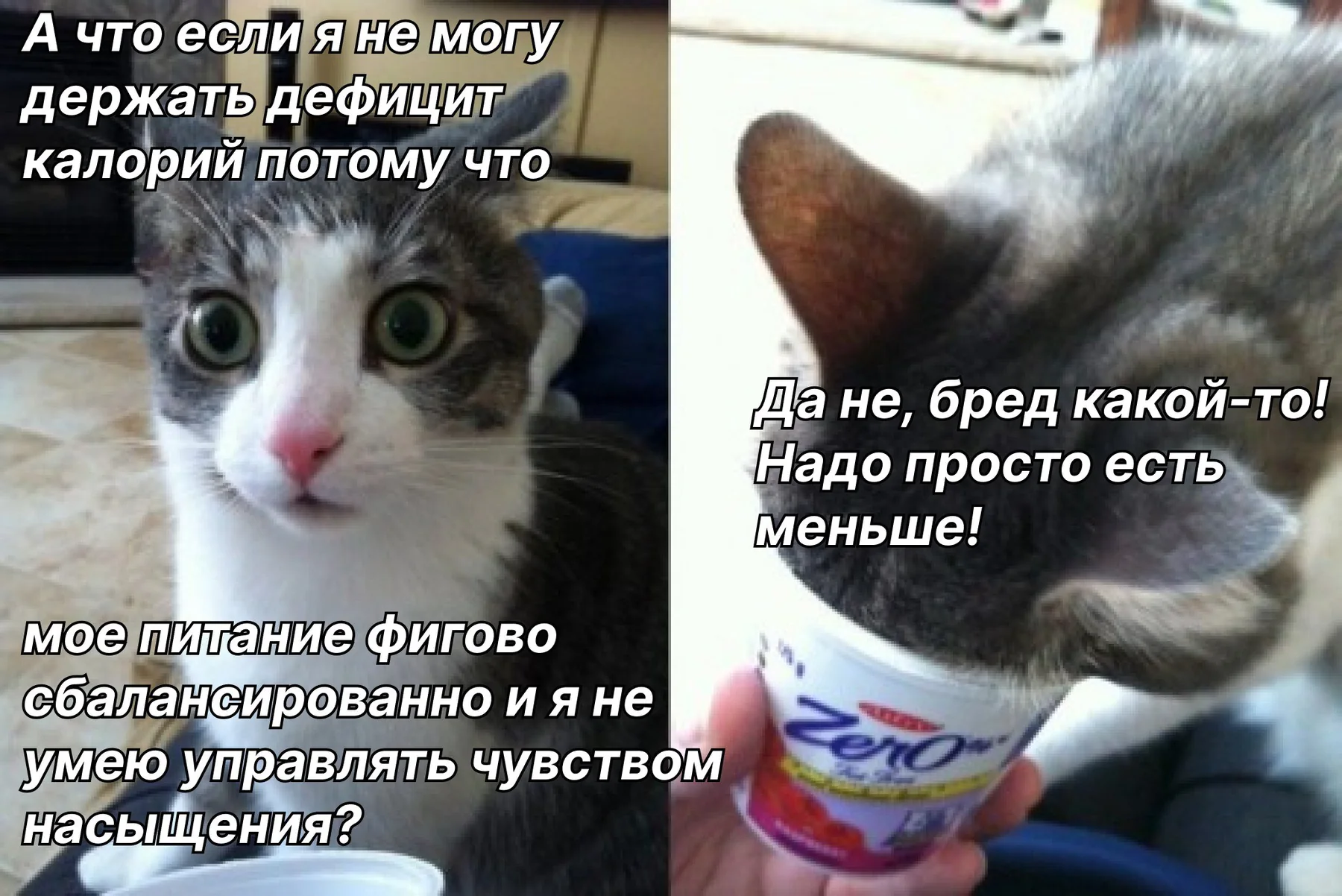 Мем о дефиците калорий и сбалансированности питания